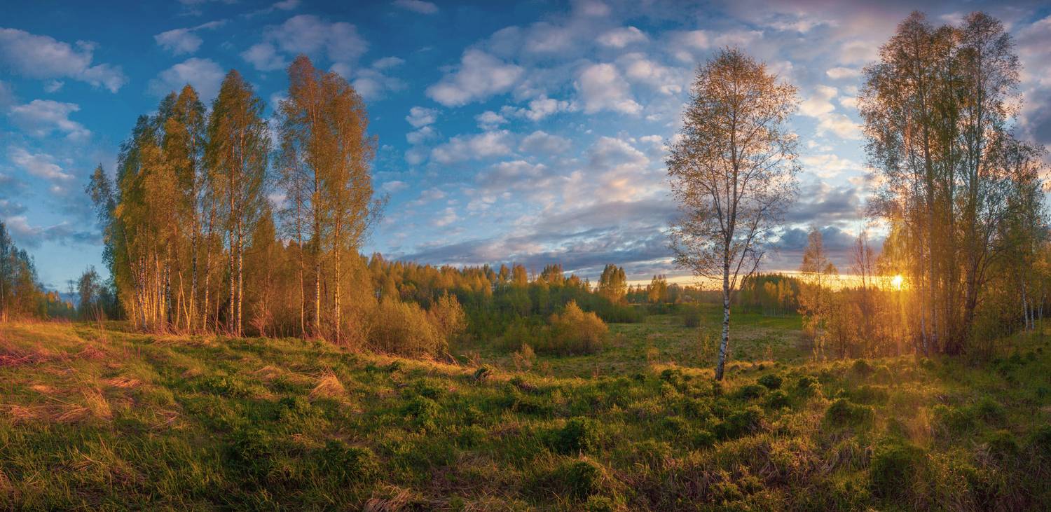 закат, лес, весна, облака, Свистков Александр