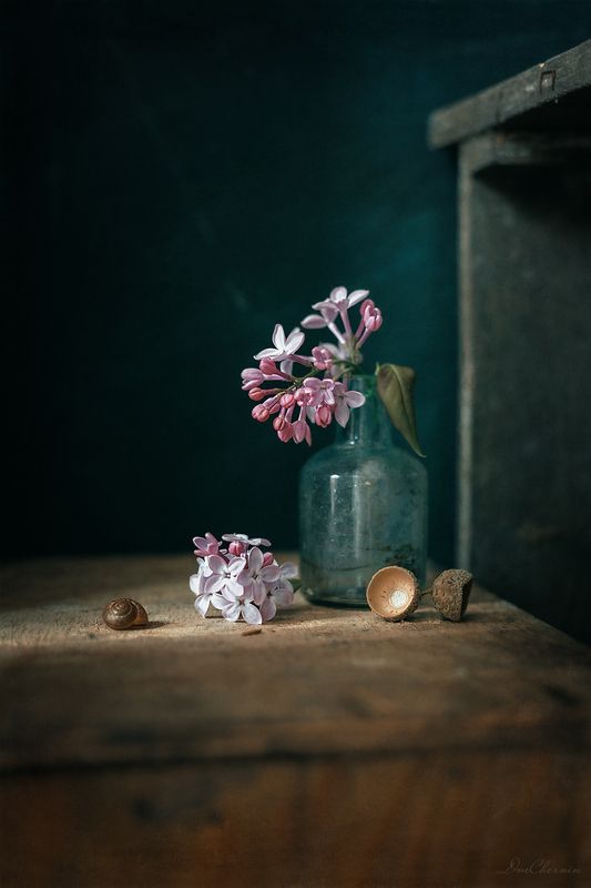 .... фото превью