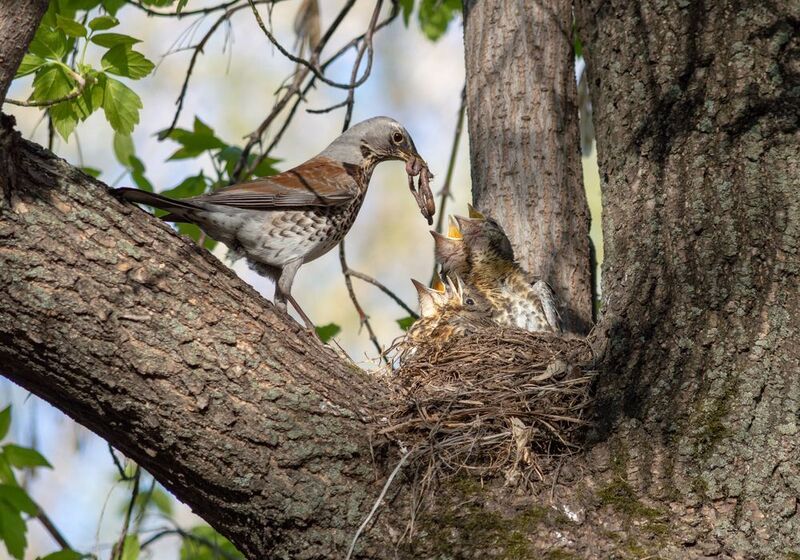 хватит на всех фото превью