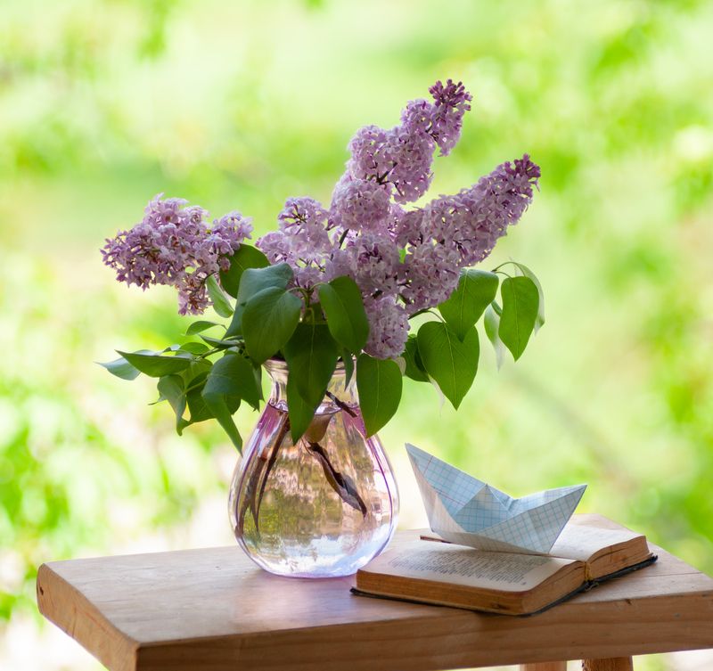 Май фото превью