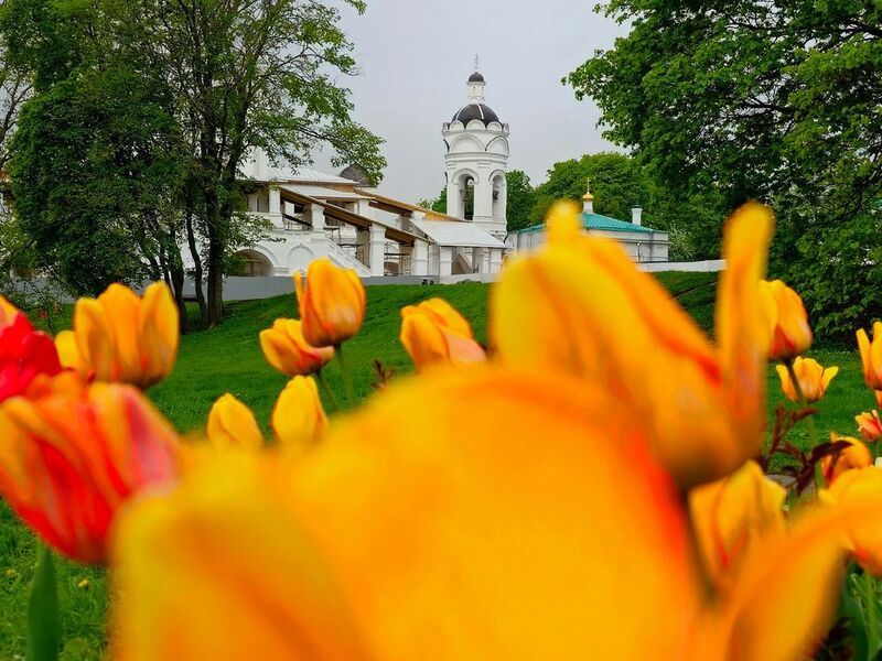 фото превью