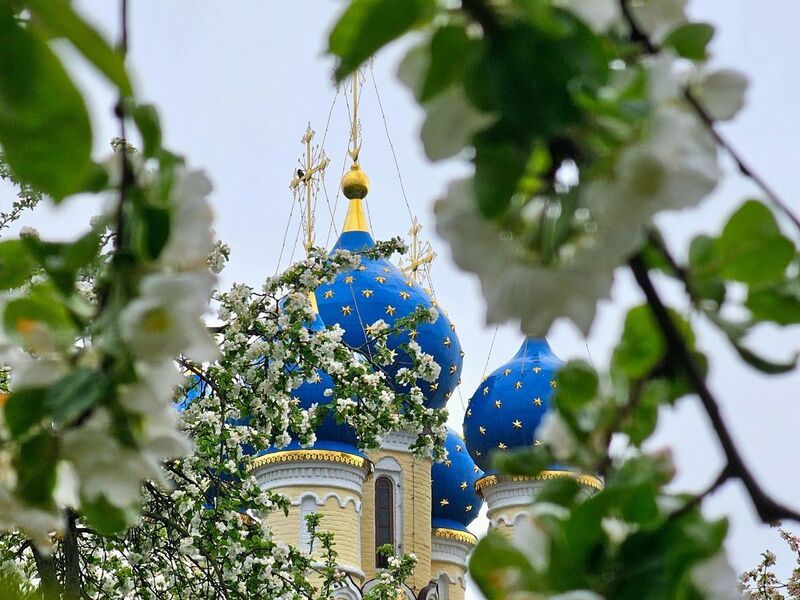 фото превью