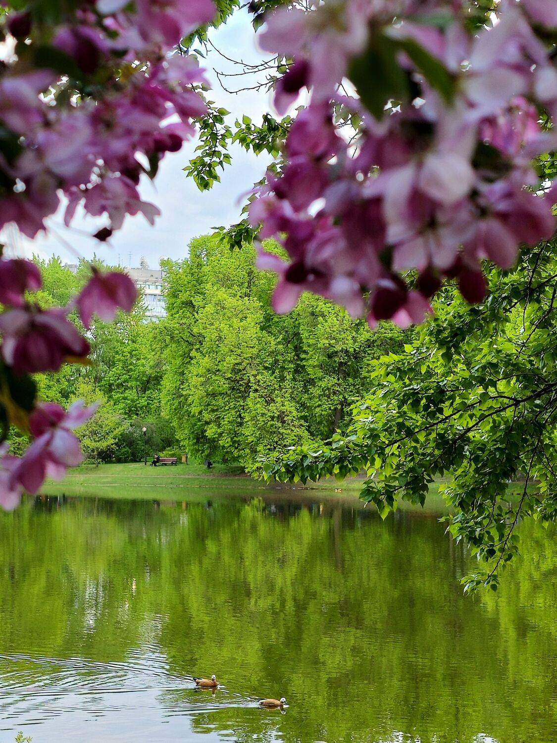 , Мария Яковлева