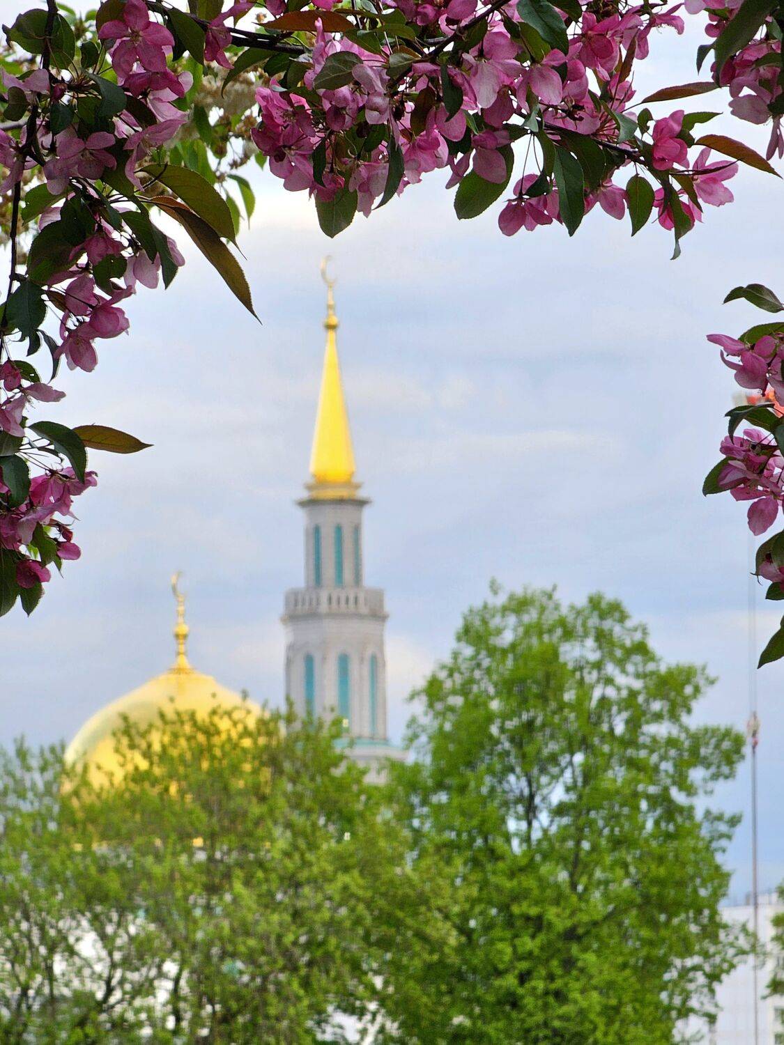 , Мария Яковлева