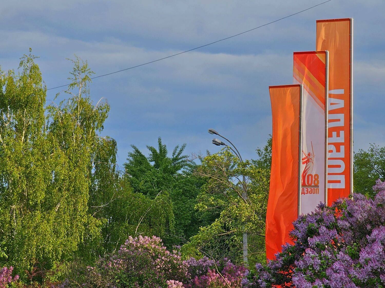 , Мария Яковлева