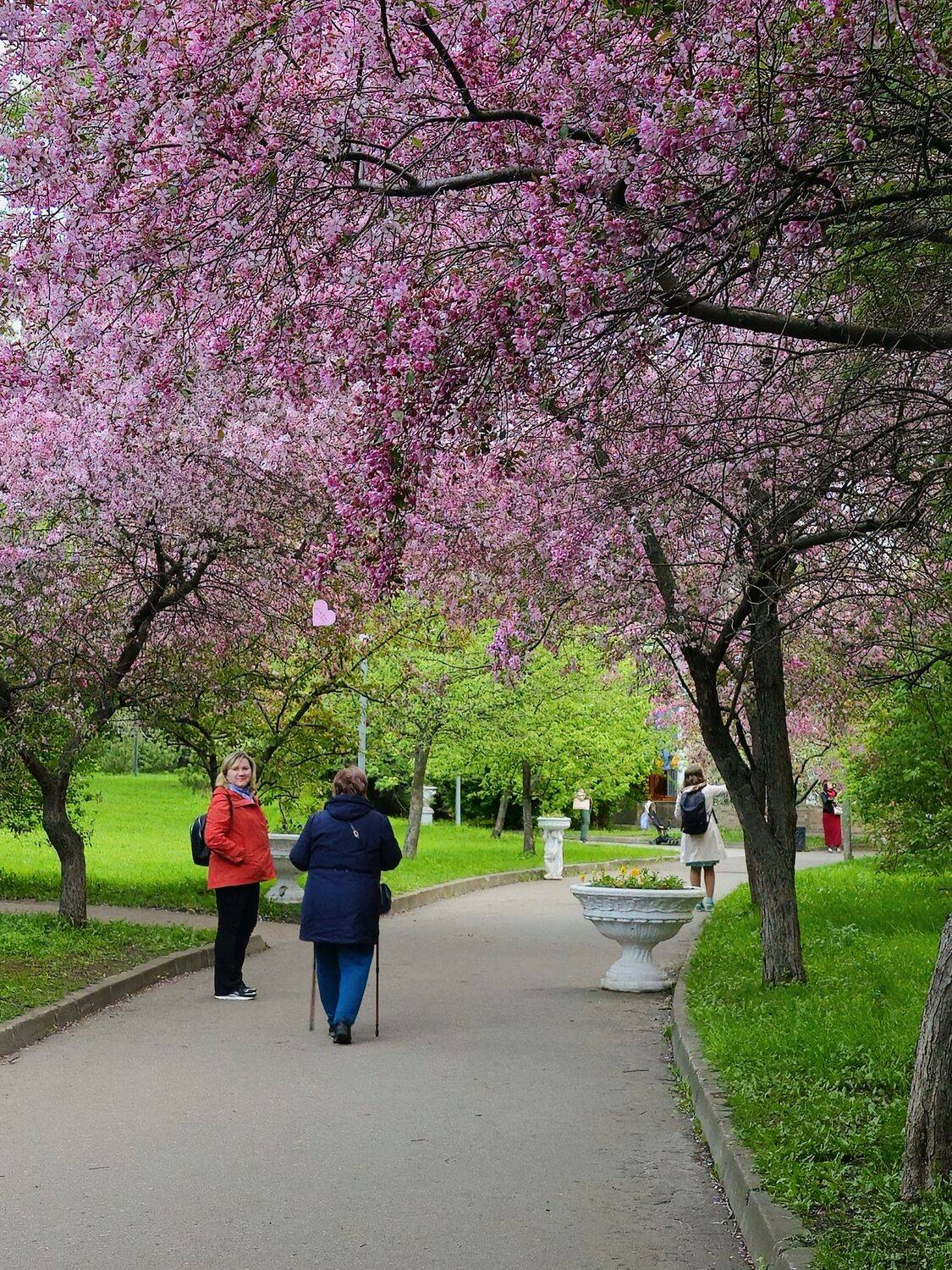 , Мария Яковлева