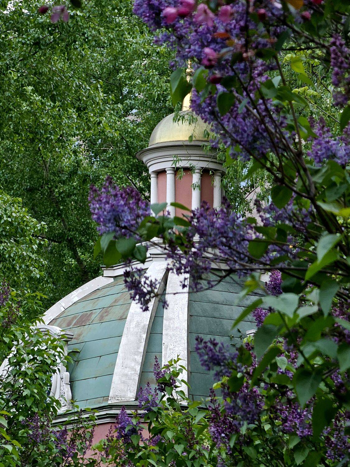 , Мария Яковлева