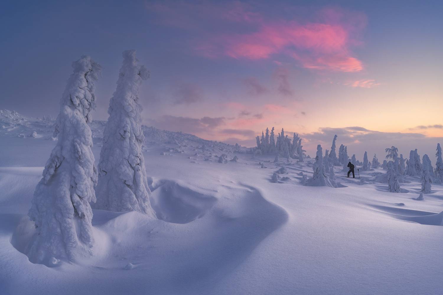 , Медянцев Дмитрий