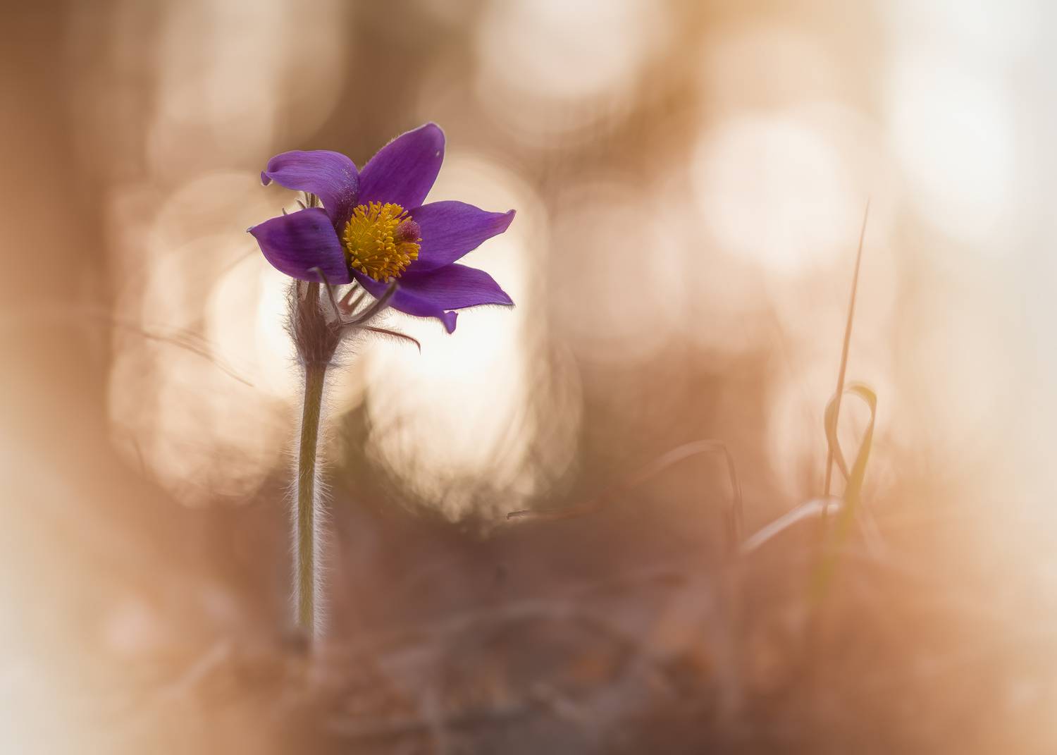 , Кузнецов Дмитрий