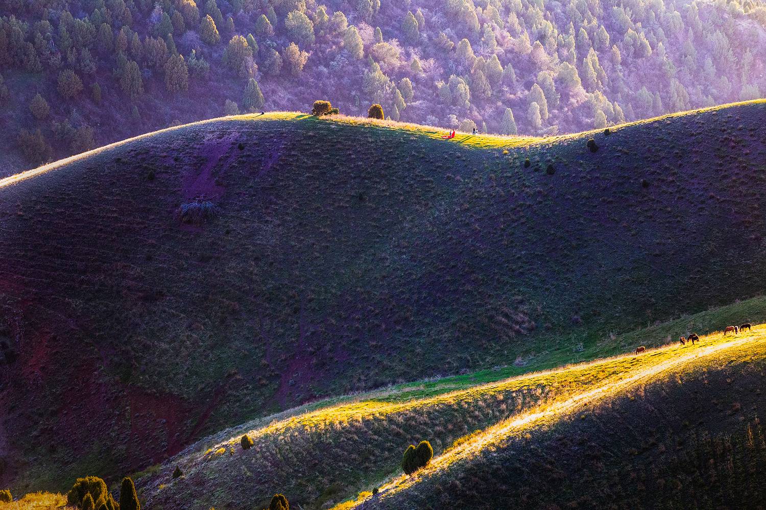 кыргызстан, Элина Магалимова