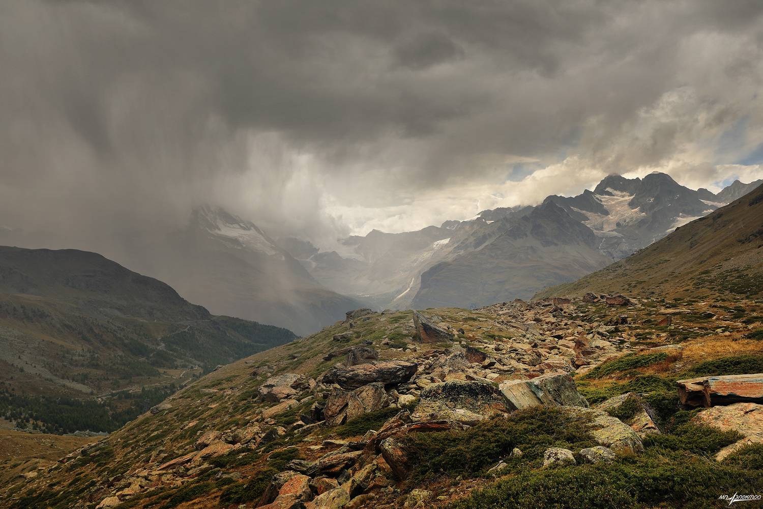 swiss, Матвеев Николай