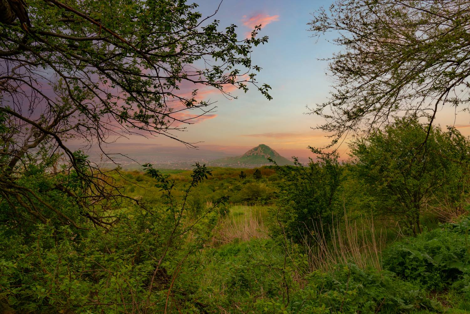 пейзаж, кмв,май,вечер, Елена Брежицкая