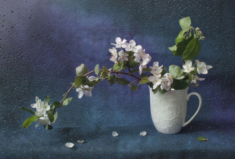 весна, дождик, яблоня, басё С ветки на ветку Тихо сбегают капли… Дождик весенний фото превью