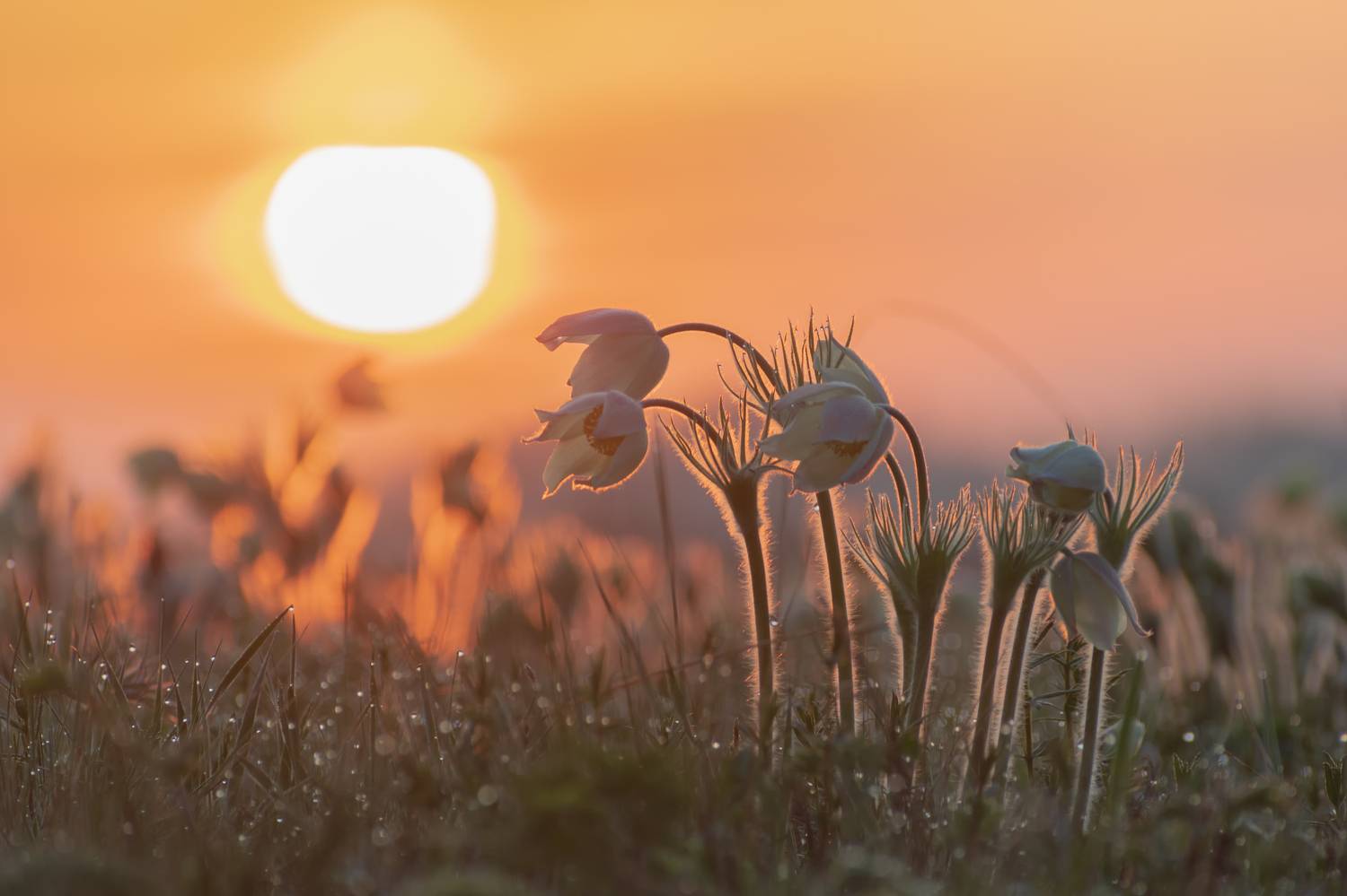 , Ильгиз Таипов