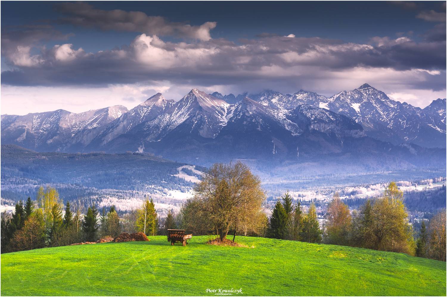 polska, g&oacute;ry, tatry, drzewo, Kowalczyk Piotr