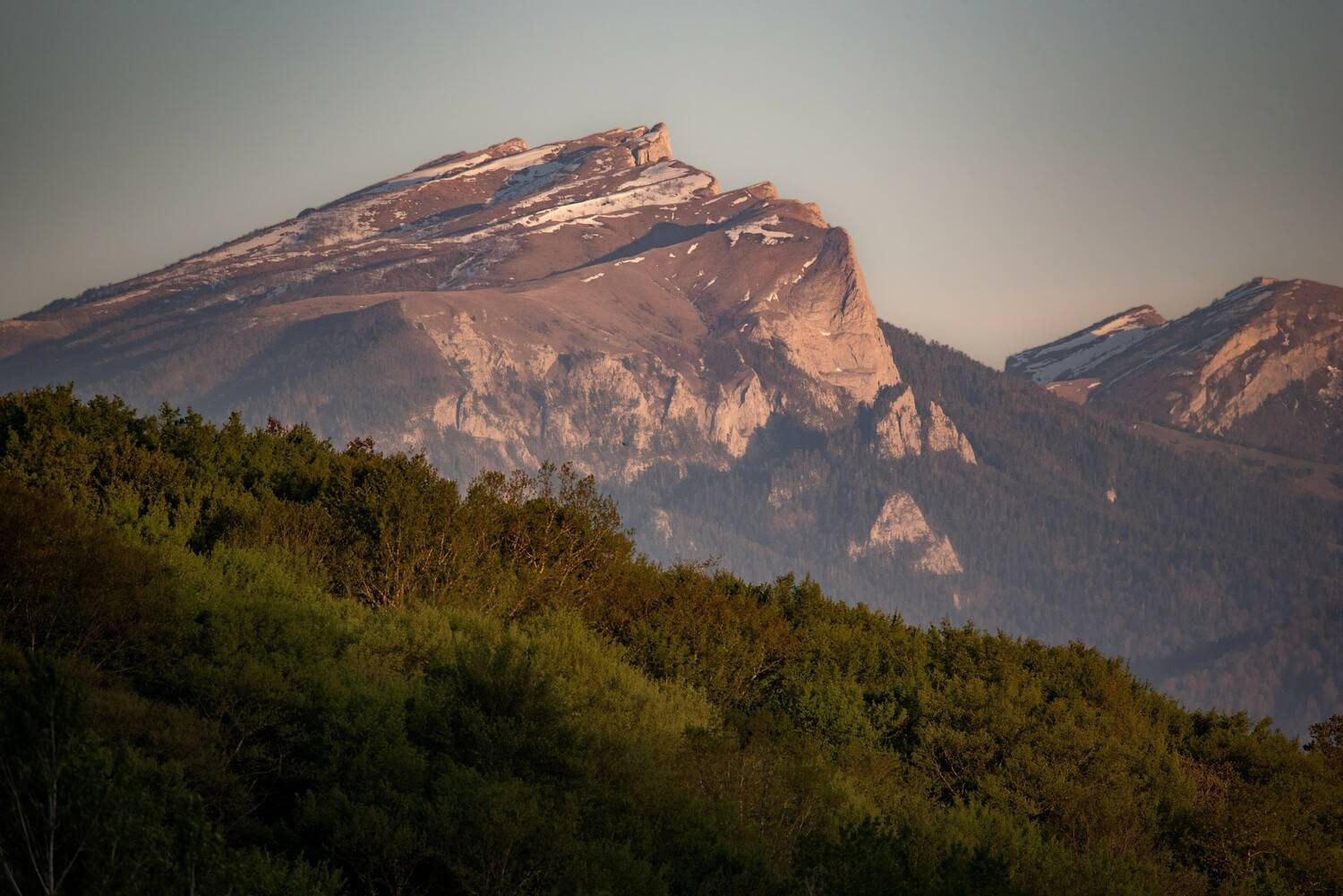 , Дмитрий Величко