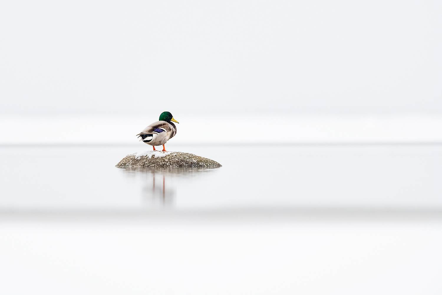 , Абросимов Александр