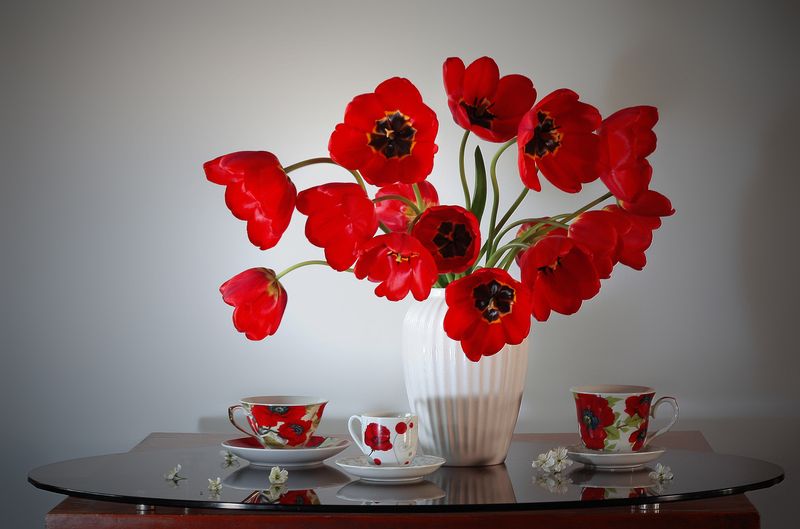 красные тюльпаны Майское утро фото превью