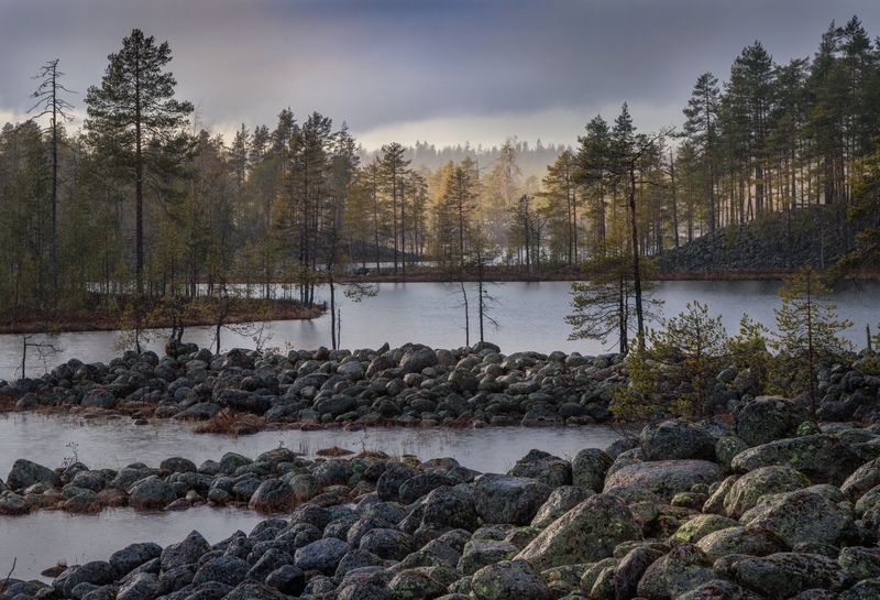 Просвет фото превью