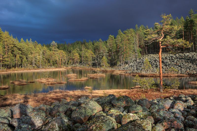 Ожидание грозы фото превью