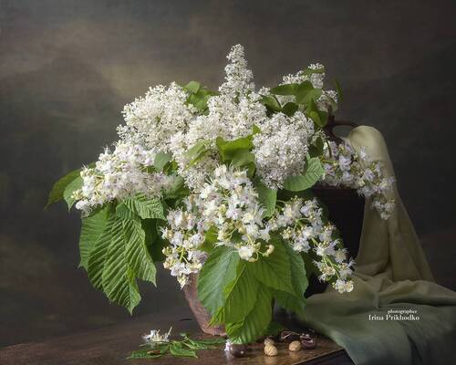 Каштаны свечи разожгли нежданно, расправили широкие листы....
