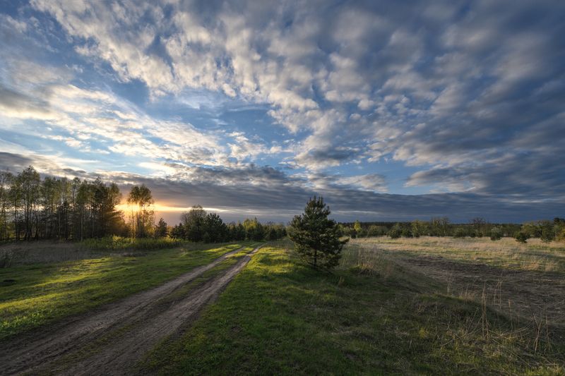 весна,вечер,закат,солнце,свет,небо.облака,дорога по вечерней дорожке фото превью