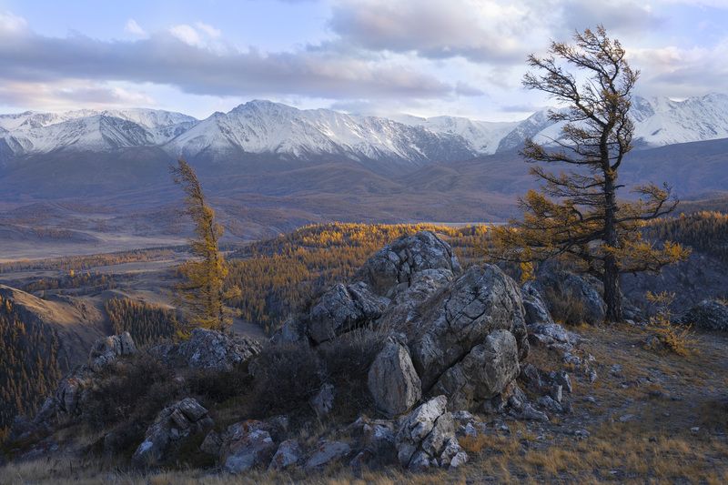 алтай, горы, ветер, пейзаж Алтайский ветер фото превью