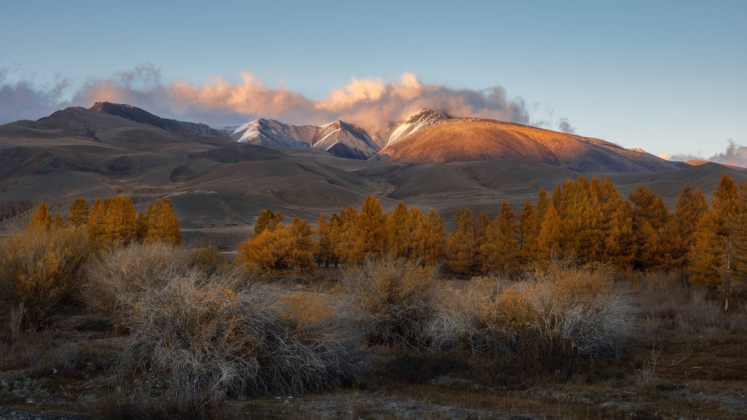 , Мозжухин Максим