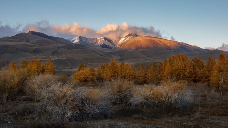Здесь и сейчас фото превью