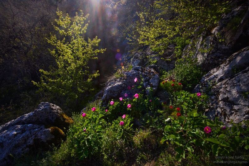 пейзажемагьё, пейзаж-как-виденье Светариум Весны … фото превью