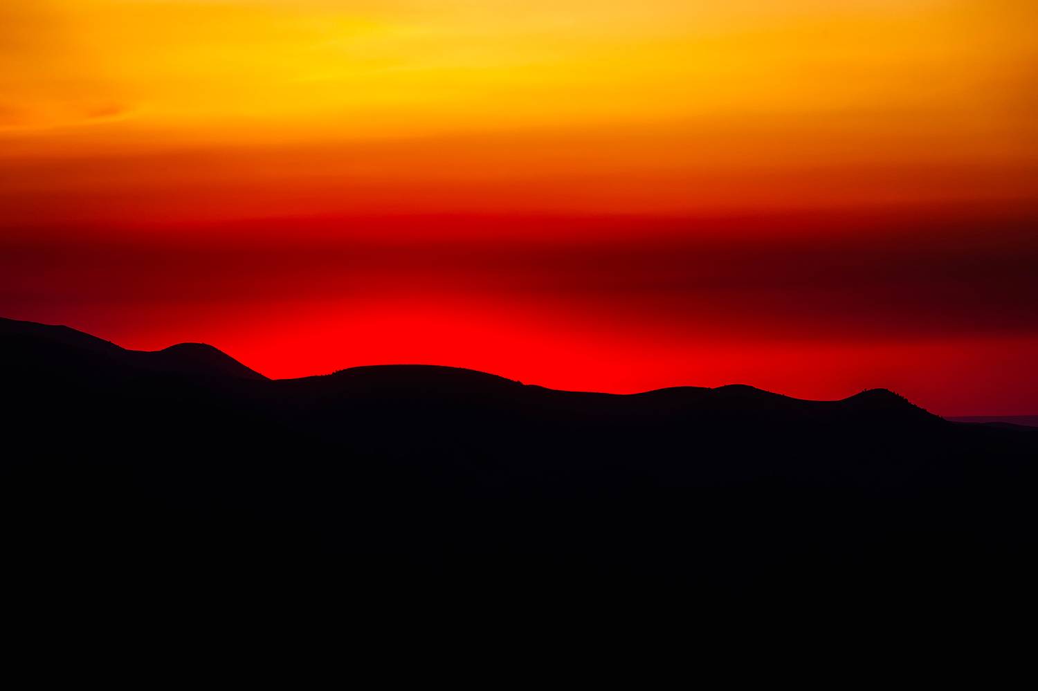 кыргызстан, Элина Магалимова