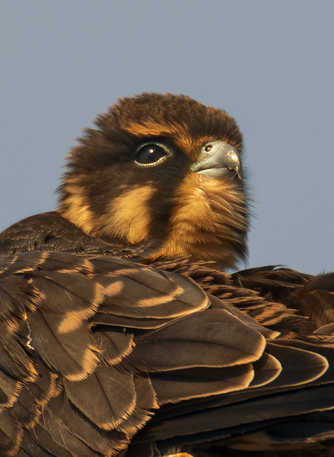 , Фото Александр