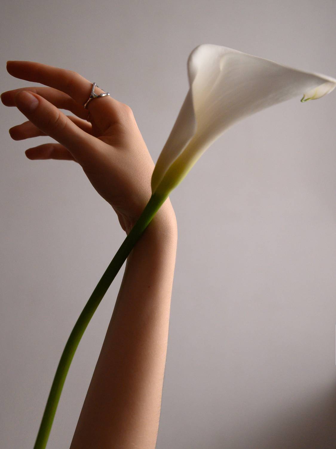 , Евгений Линев