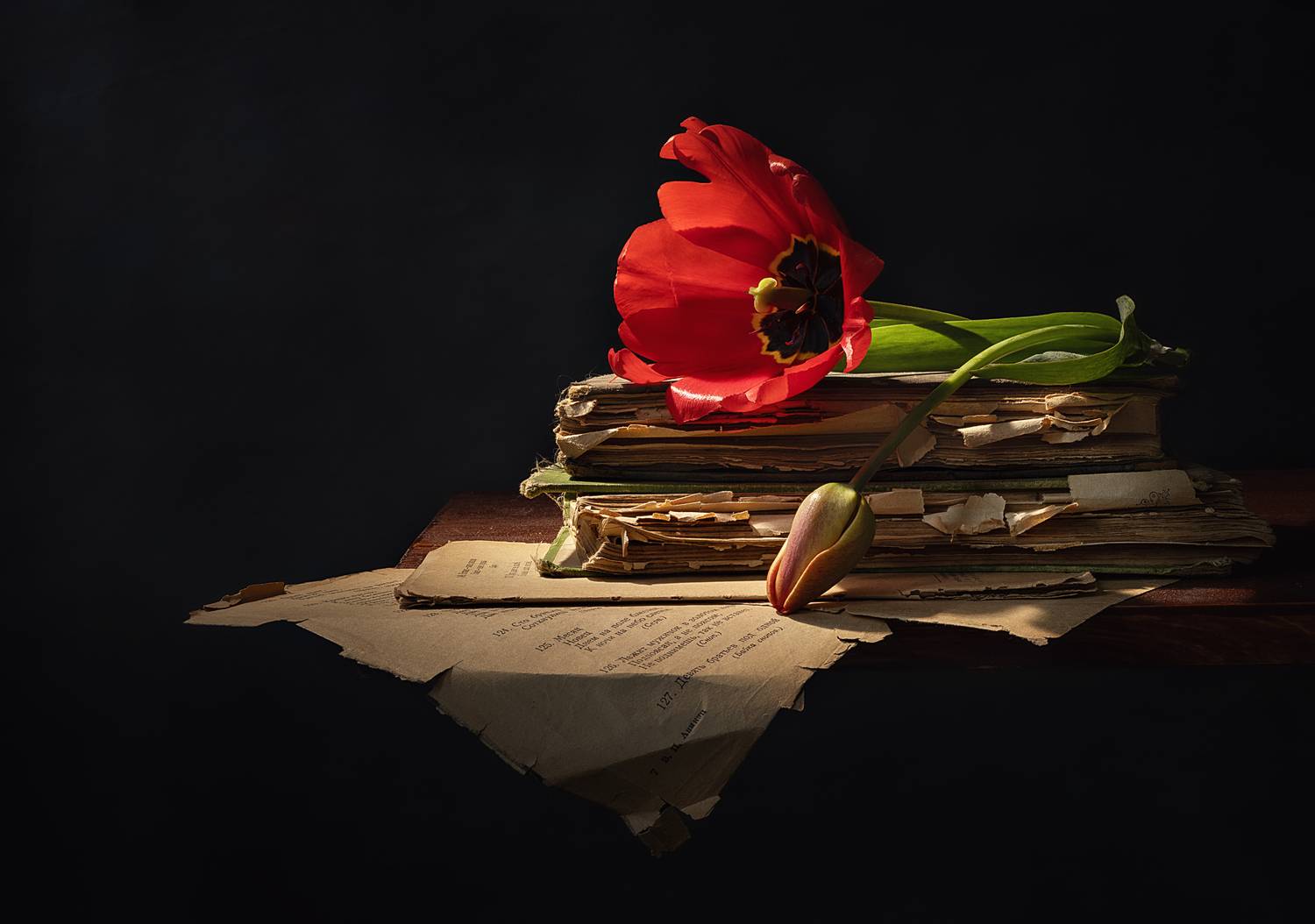 , Александра