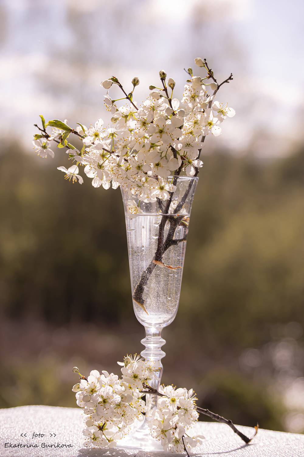 , Бурикова Екатерина