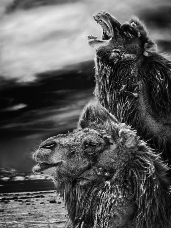 Thirst... фото превью