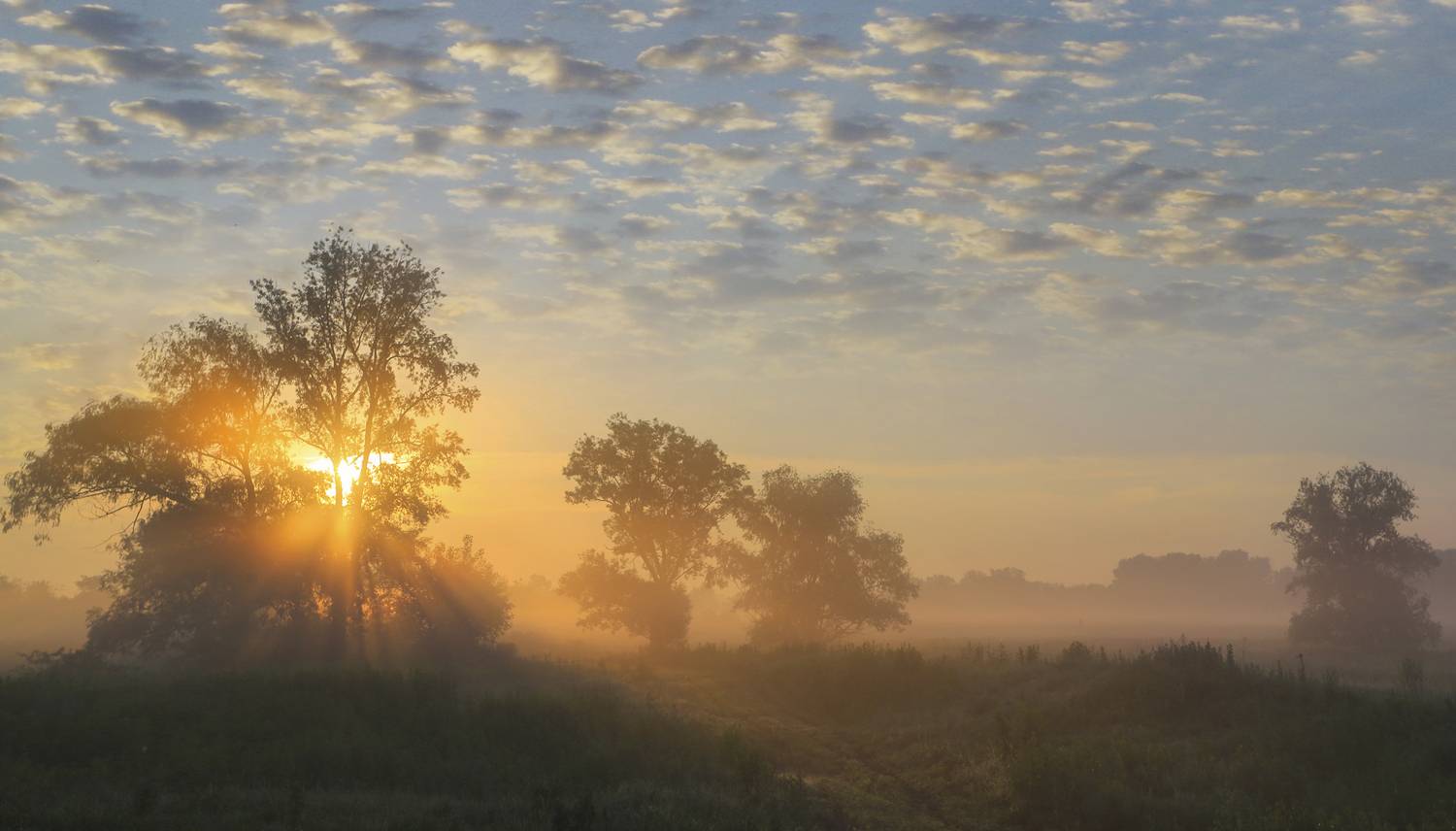 , Валерий Черняк
