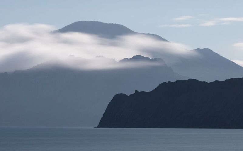 Силуэты фото превью