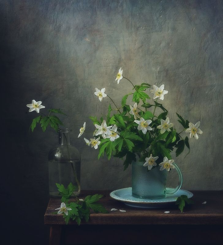 натюрморт,весна,цветы,анемоны,ветреницы с ветреницами... фото превью