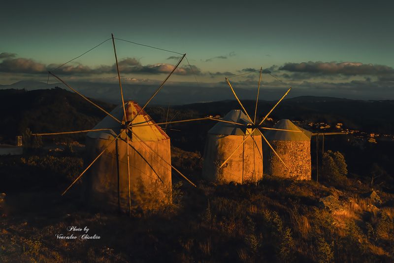 sunset, Золотой прощальный свет фото превью
