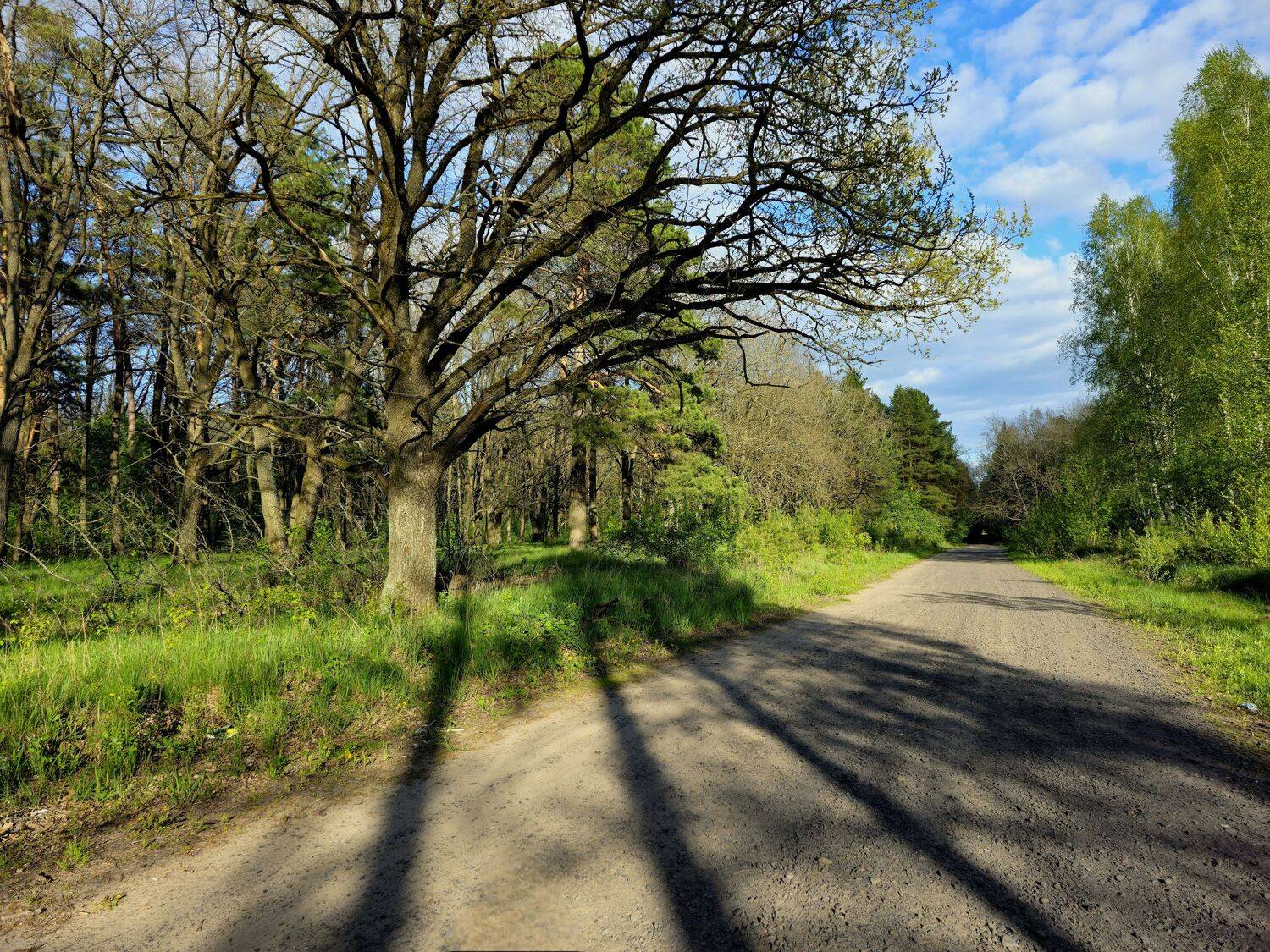 , Мария Яковлева
