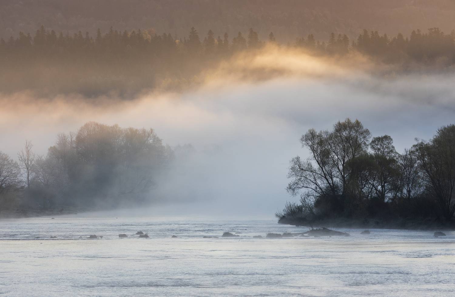 ,  Mirosław Pruchnicki
