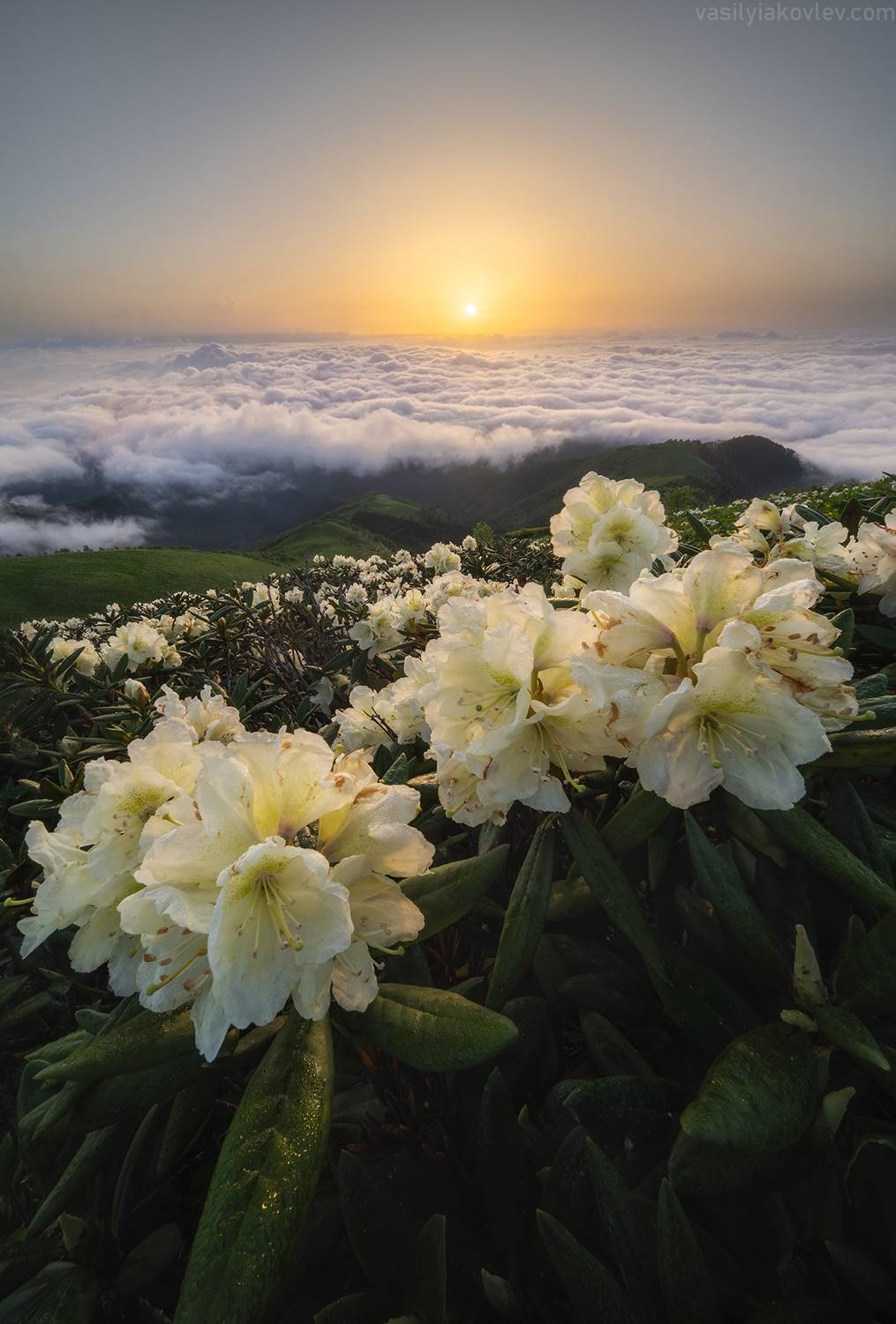 тхач, большой тхач, фототур, яковлевфототур, кавказ, адыгея, Василий Яковлев