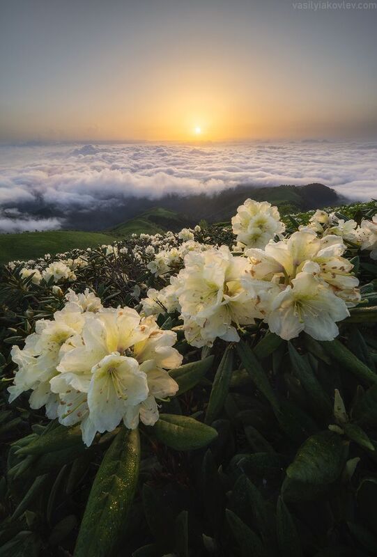 тхач, большой тхач, фототур, яковлевфототур, кавказ, адыгея Волшебное утро фото превью