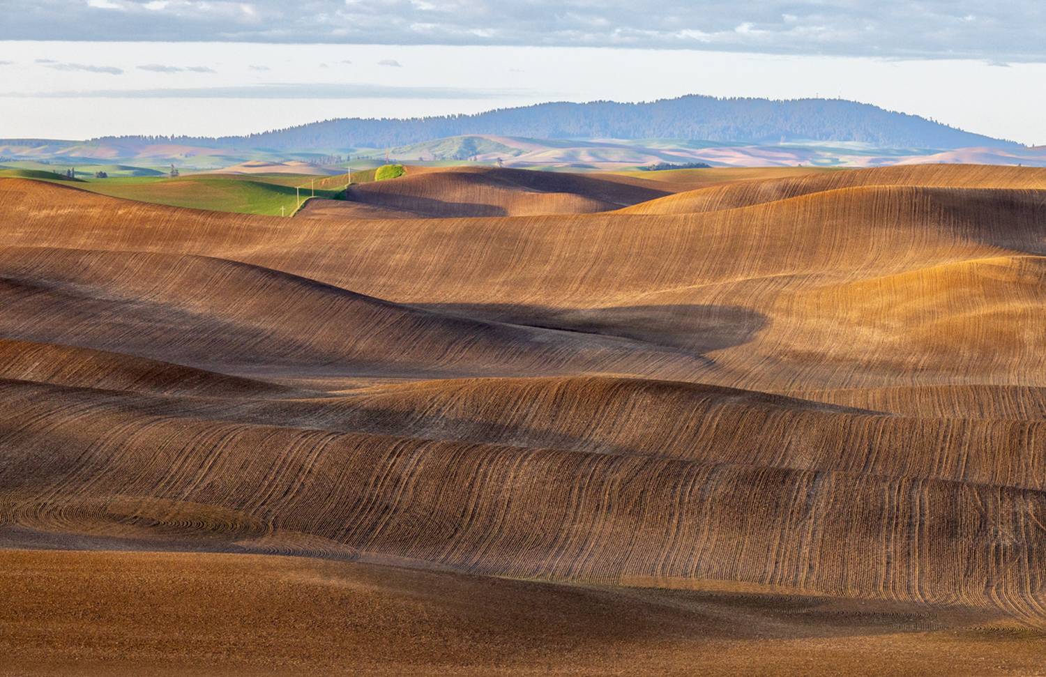 , Лозицкий Александр
