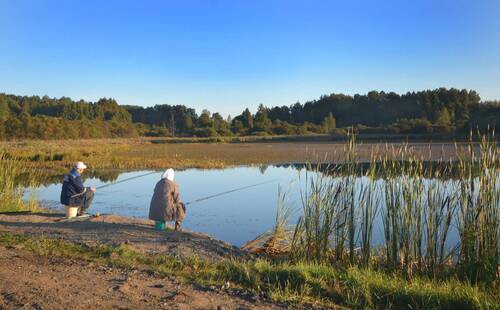 Не мог проехать мимо.