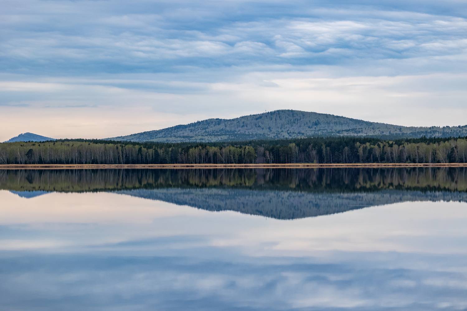 , Щепанов Дмитрий