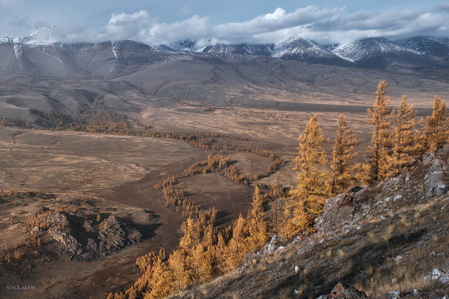 , Константин Шамин