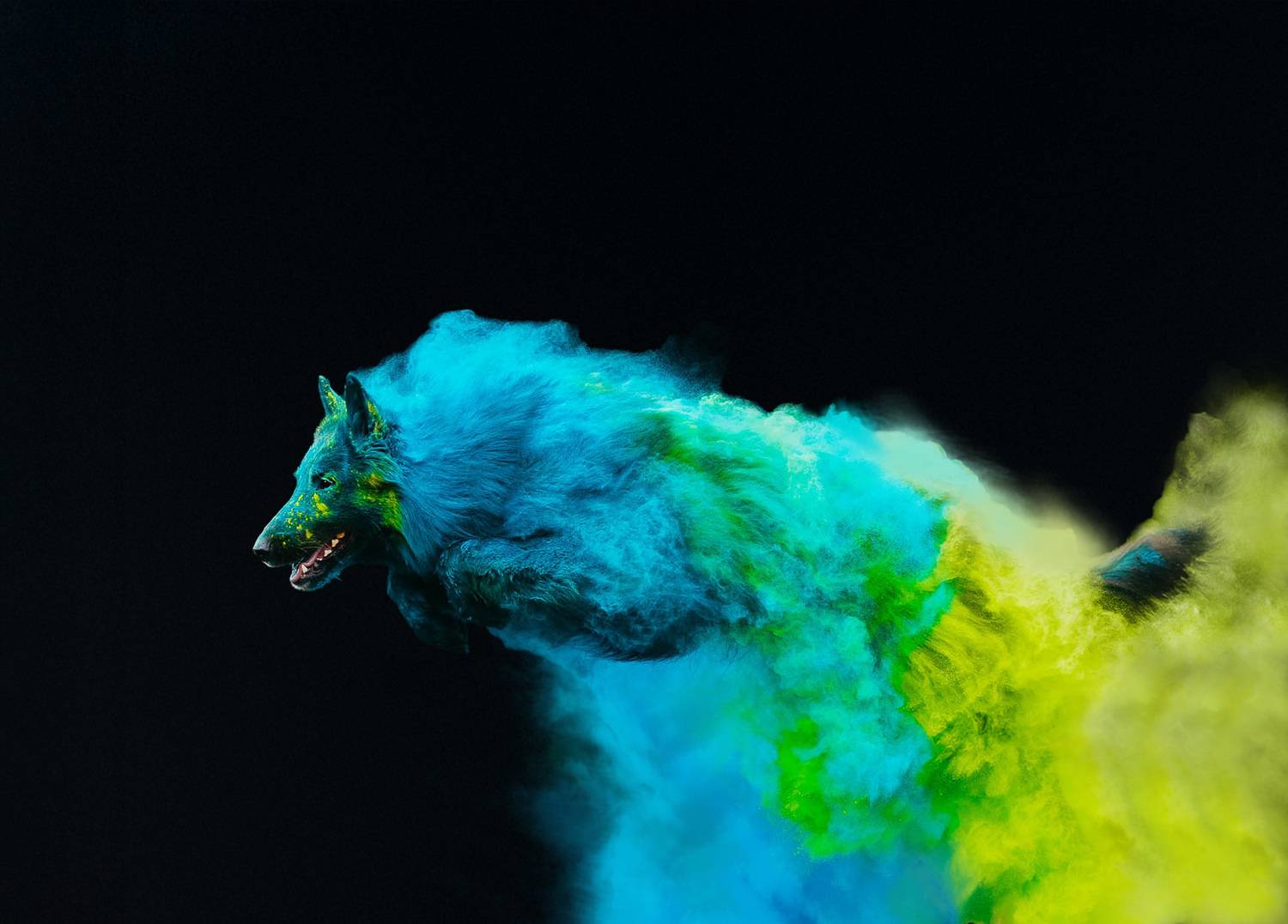 , Софья Евгеньевна