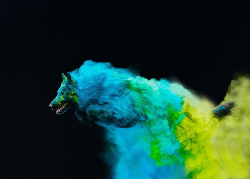 фото превью